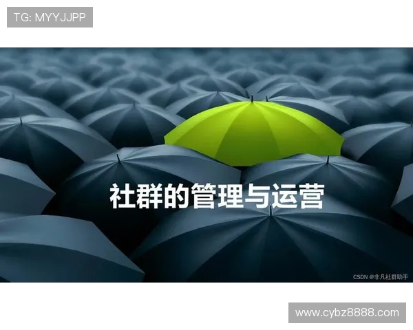 英雄联盟深度分析:探究LNG战队的成功运营策略与管理模式